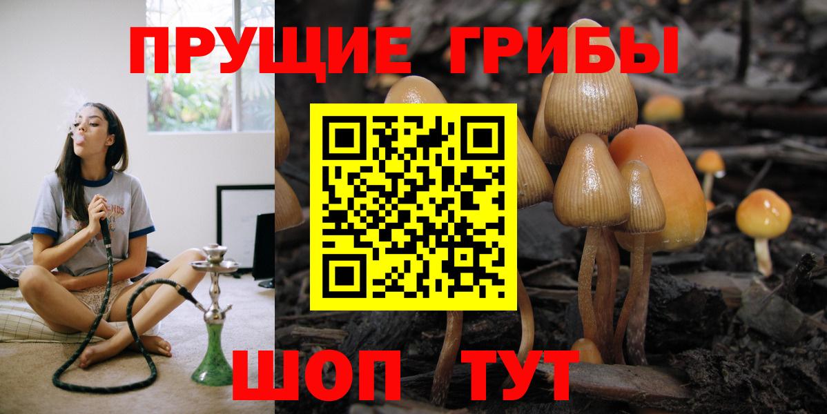 Сегежа  Псилоцибиновые грибы мухоморы  Вход с VPN 